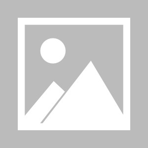 世界杯高清赛事观看-【夜读】艾克森罚丢点球，头部受伤退场